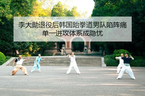 li-da-xun-tui-yi-hou-han-guo-tai-quan-dao-nan-dui-xian-zhen-tong-dan-yi-jin-gong-ti-xi-cheng-yin-you-2-763.jpg